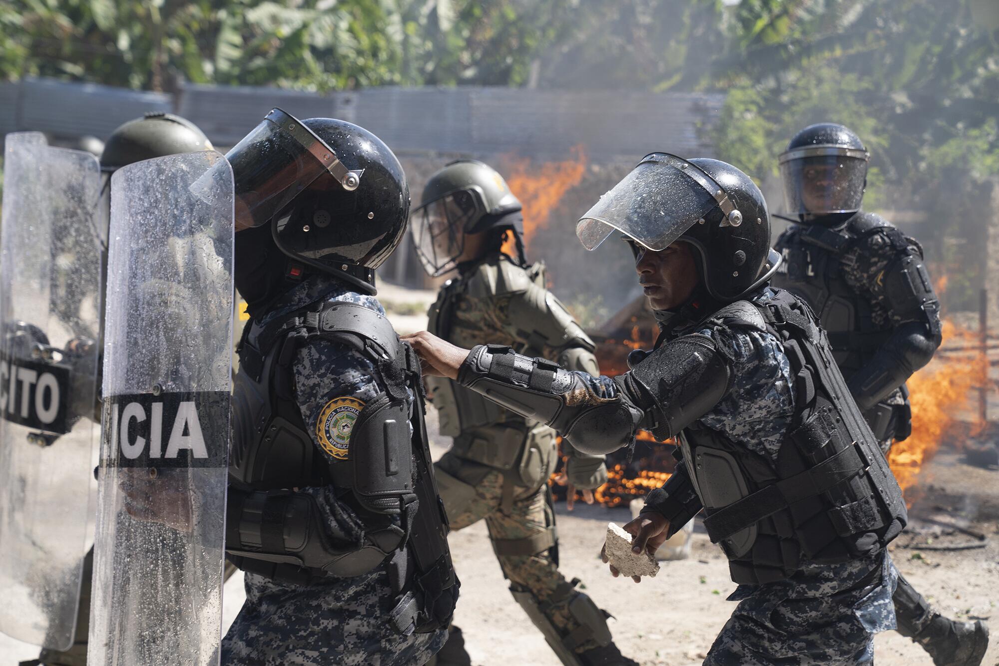 Dominicana ultras Afonso - 11
